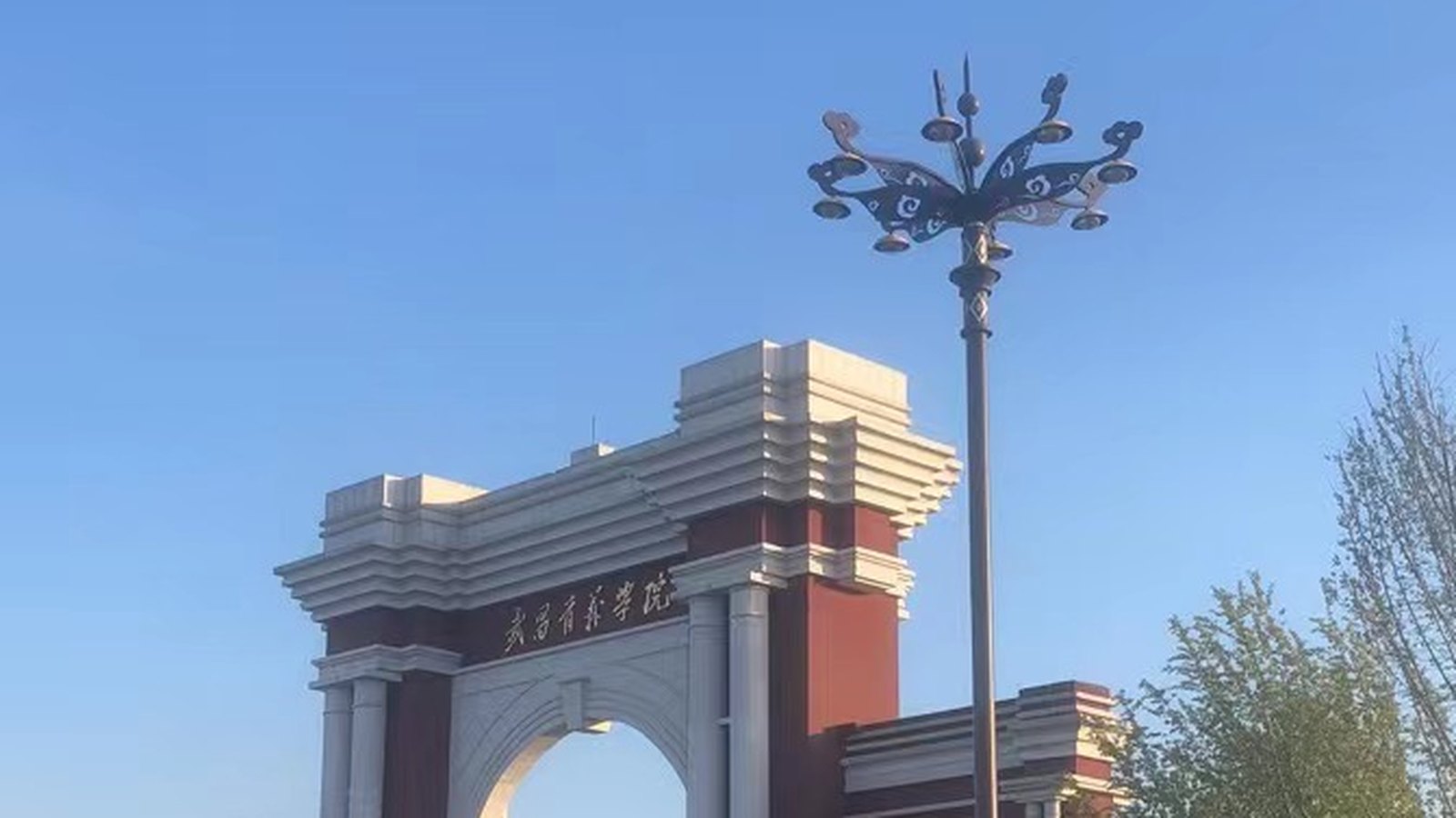 武昌首义学院嘉鱼校区校门与蝴蝶造型高杆灯实景