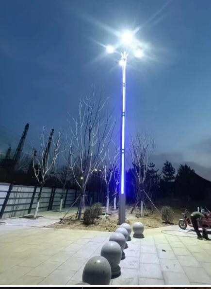 园博会园区智慧路灯夜景(灯杆屏+多光源)