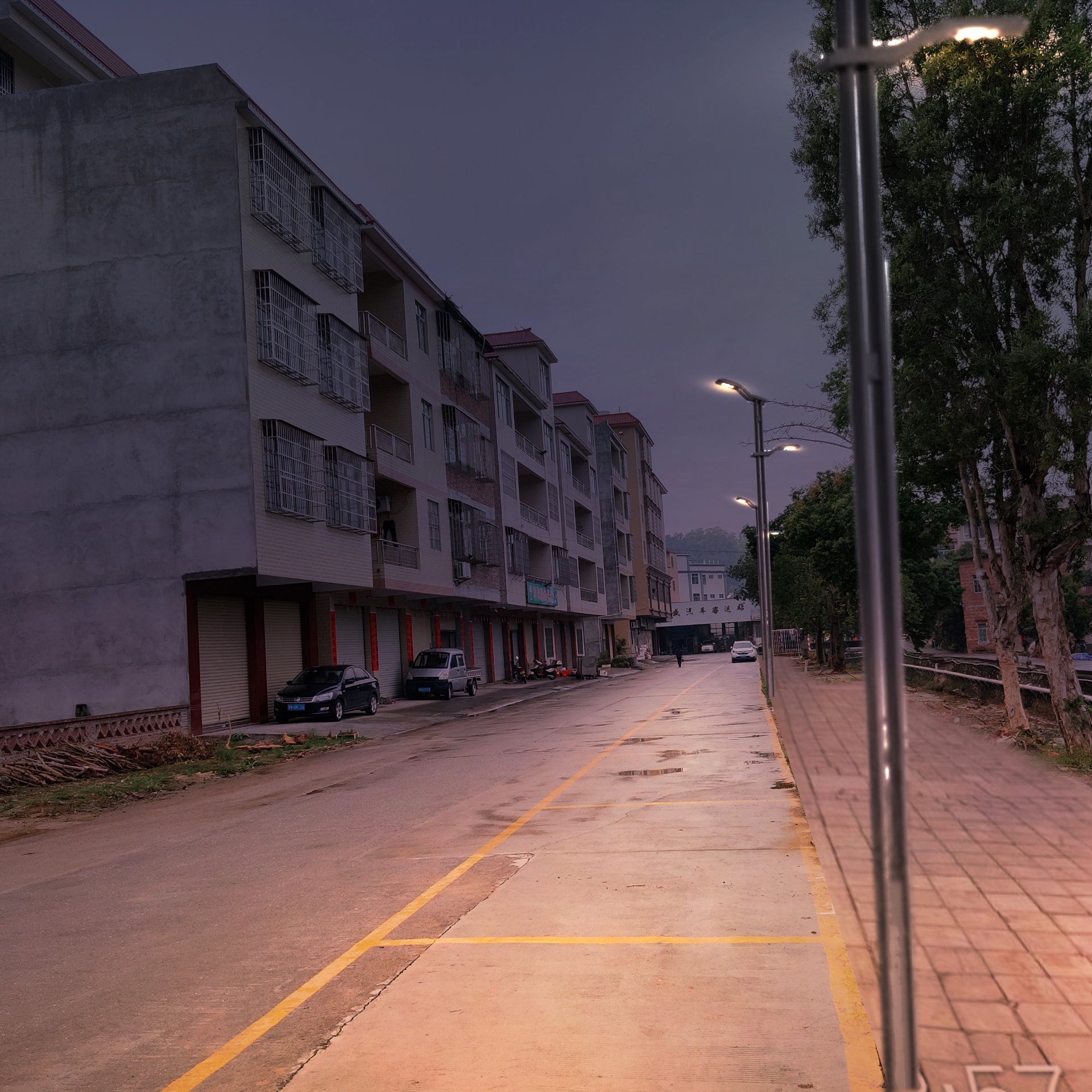 云浮市云城区南盛镇美丽圩镇创建路灯项目现场实景(傍晚亮灯)